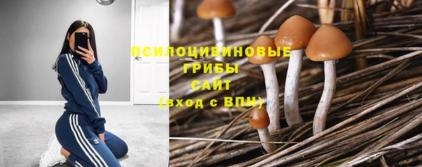 не бодяженный Новокубанск